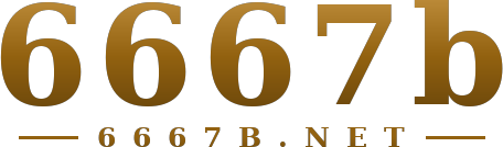 6667b logo